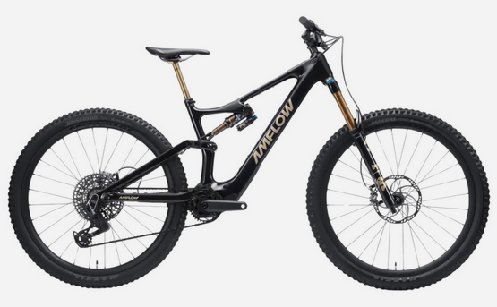 Vélo Amflow PL Carbon PRO (800 Wh) 2026