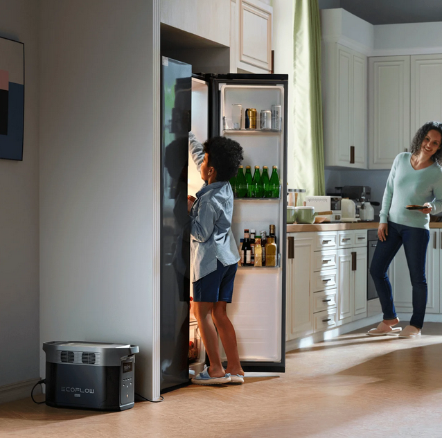 DELTA 2 Max + 2 × Paneles solares portátiles de 220 W