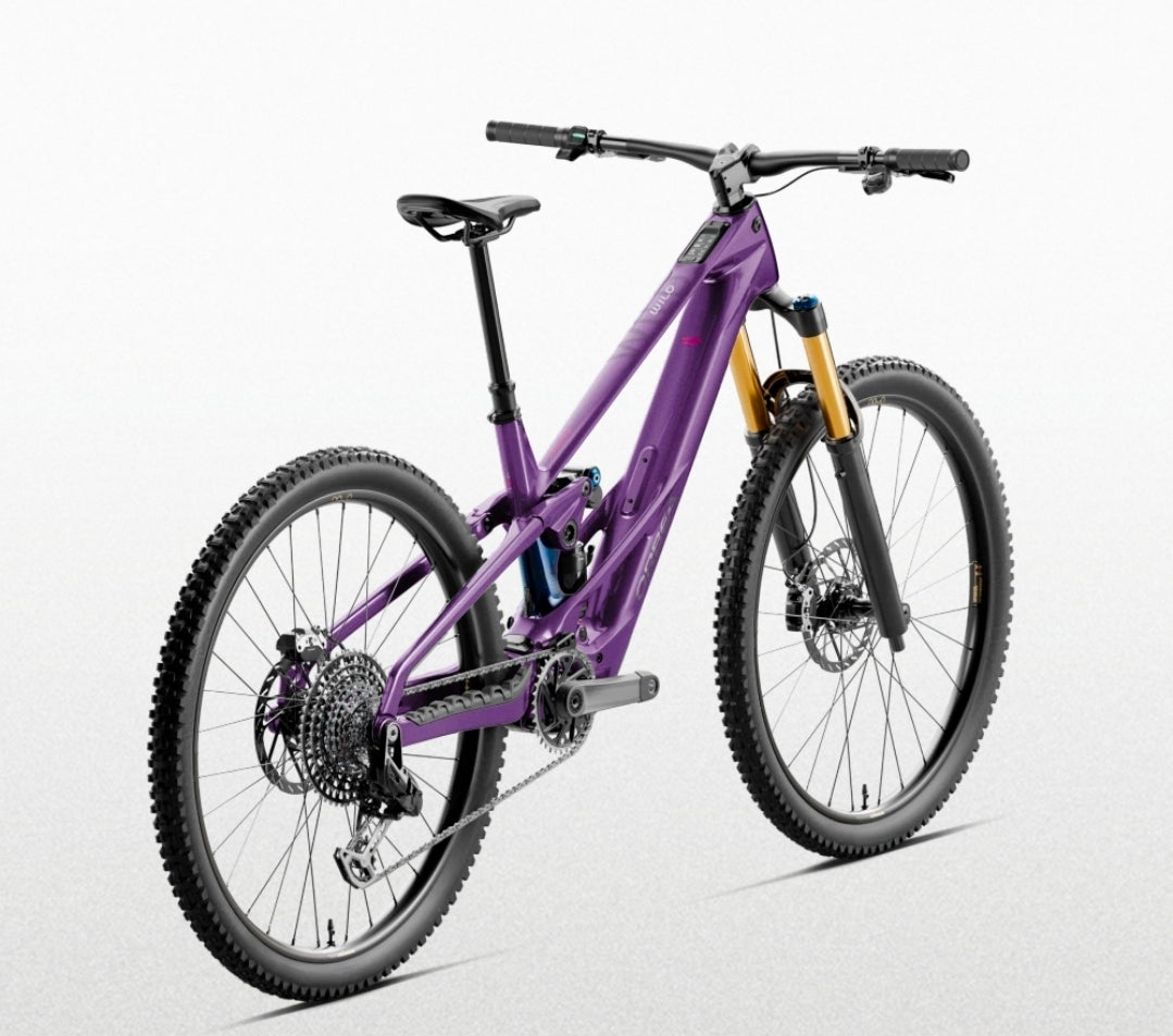 L'Orbea Wild LT M-LTD RS 2027
