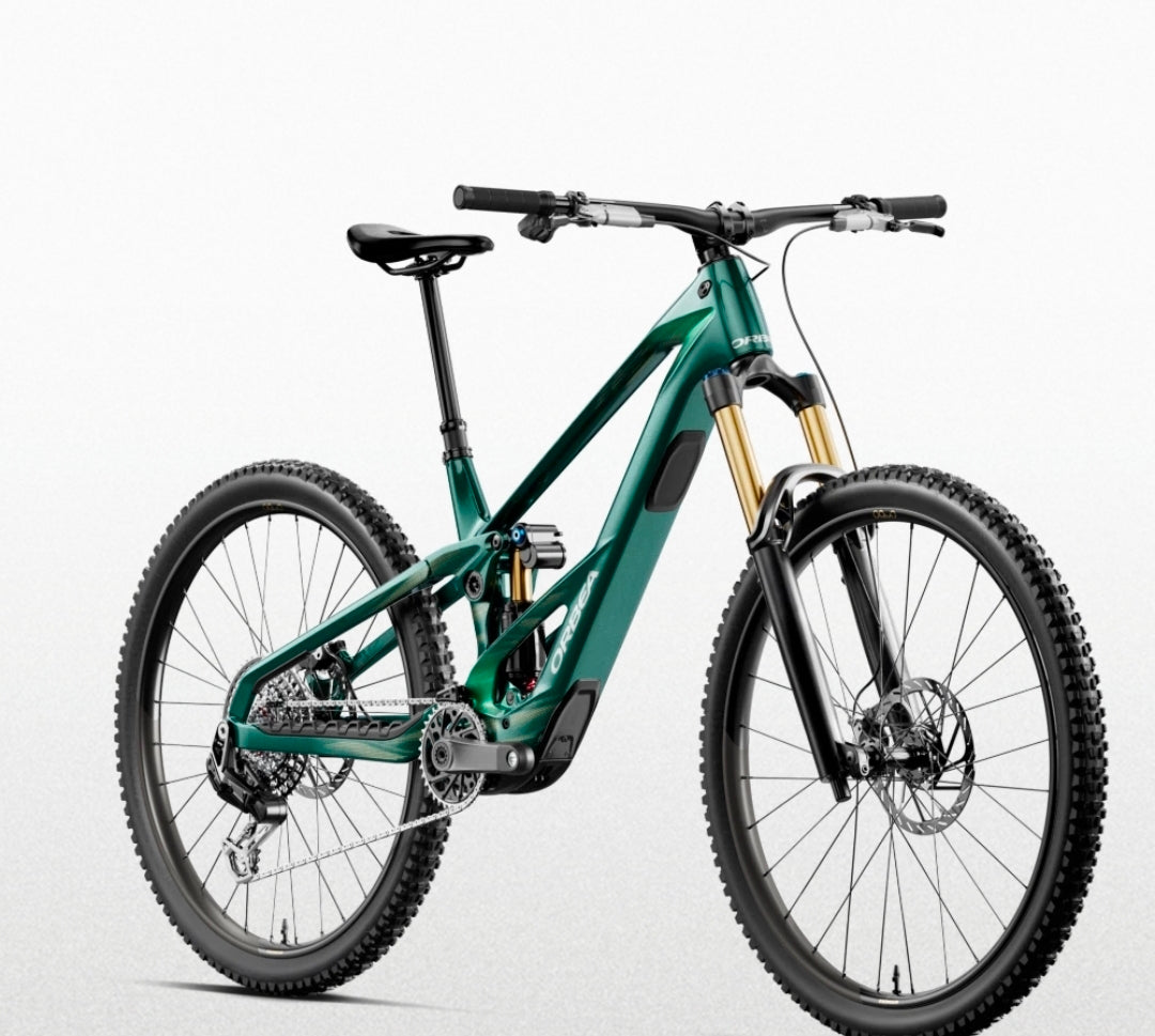 L'Orbea Wild LT M-LTD RS 2027