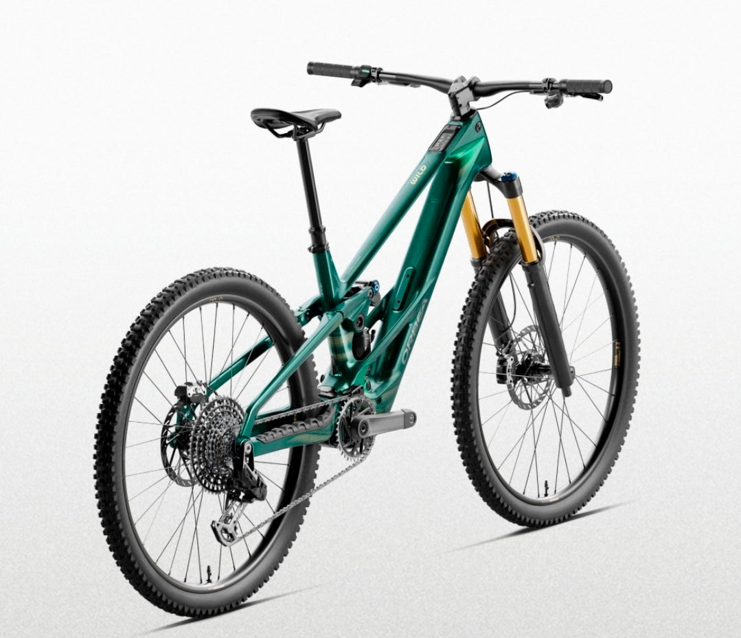 L'Orbea Wild LT M-LTD RS 2027