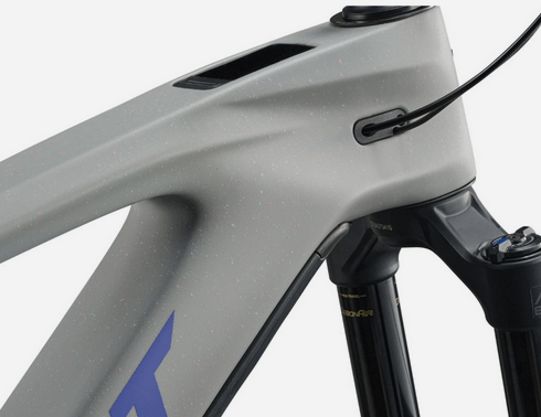 Vélo Giant Reign Advanced E+ 2 2026 - Shop - Bike